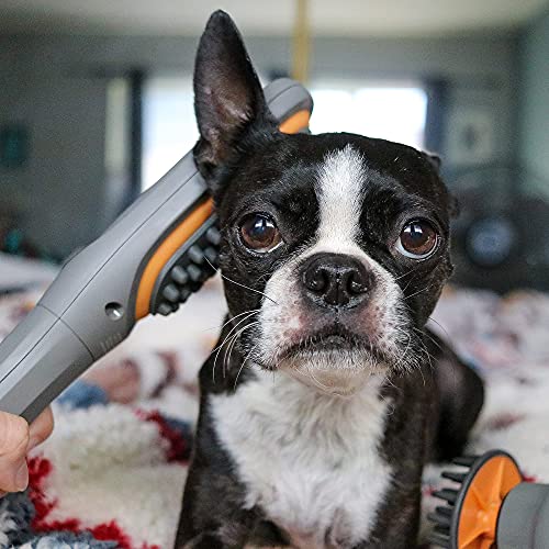 PAW WAVE Buzz Therapeutic Brush Vibration Pet Massager for Dogs and Cats Designed to Help Soothe Tension, Increase Circulation and Relieve Tight Muscles