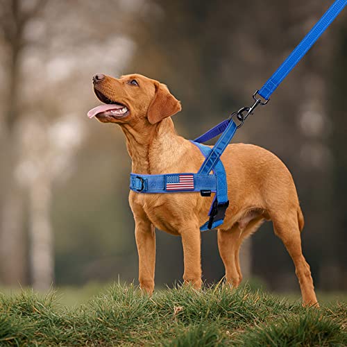 Annchwool No Pull Dog Harness with Padded Handle+5 Ft Leash(Blue-Set,S) - color: Blue Set, size: S