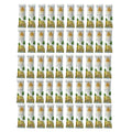 Asheva 8" x 9" Individually Wrapped Oshibori Disposable Towels - Luxurious Moist Cotton Hot/Cold Refreshment Towel - Lavender, Lemon, or Tea Tree Scents - Perfect for Spa, Travel, Dining & Events - size: 50 Count (Pack of 1)