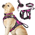 WINSEE Pet Harness Collar and Leash Set, All-in-one Reflective Dog Harness No Pull with Adjustable Buckles for Puppies, Small, Medium, Large, and Extra-Large Dogs (Large, Rosy) - color: Rosy, size: Large