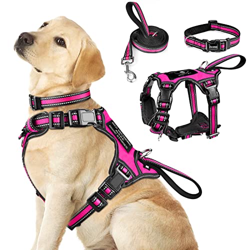 WINSEE Pet Harness Collar and Leash Set, All-in-one Reflective Dog Harness No Pull with Adjustable Buckles for Puppies, Small, Medium, Large, and Extra-Large Dogs (Large, Rosy) - color: Rosy, size: Large