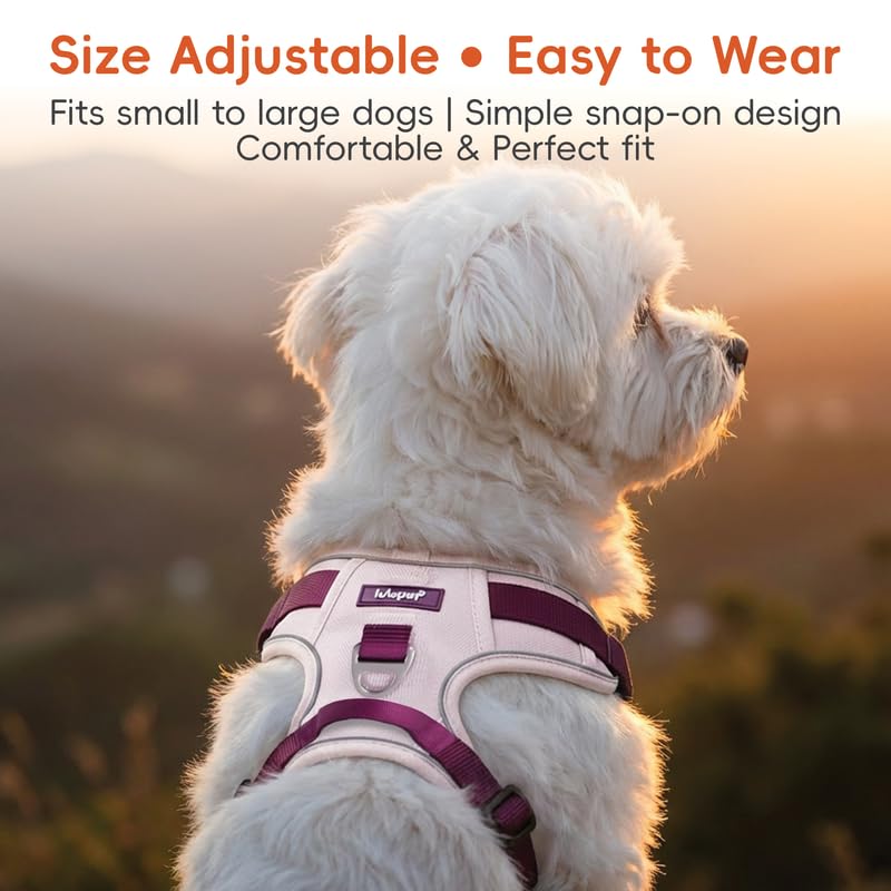 Dog Harness and Leash Set with Collar, No Pull Reflective Pet Vest Harness with Control Handle for Medium Large Dogs Walking and Training - color: Pink, size: S(Neck:15.7-20.5",Chest:18.9-23.6")