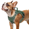 rabbitgoo Tactical Dog Harness for Small Dogs, No Pull Service Pet Vest - color: Green, size: S(Chest:16.1"-31.5",Neck:15.4"-21.6",Back:7.1")