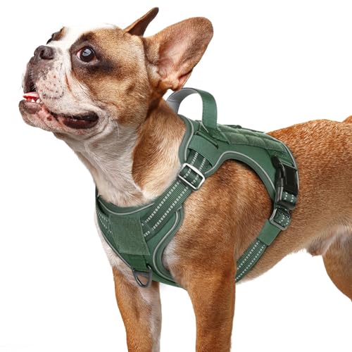rabbitgoo Tactical Dog Harness for Small Dogs, No Pull Service Pet Vest - color: Green, size: S(Chest:16.1"-31.5",Neck:15.4"-21.6",Back:7.1")