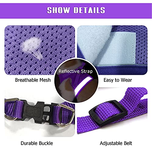 FEimaX Dog Harness and Leash Set for Walking, Soft Mesh Adjustable Easy Control Lightweight Cat Vest Harnesses with Reflective Strips, Escape Proof Small Dogs Cats Vests - color: Purple, size: XXS