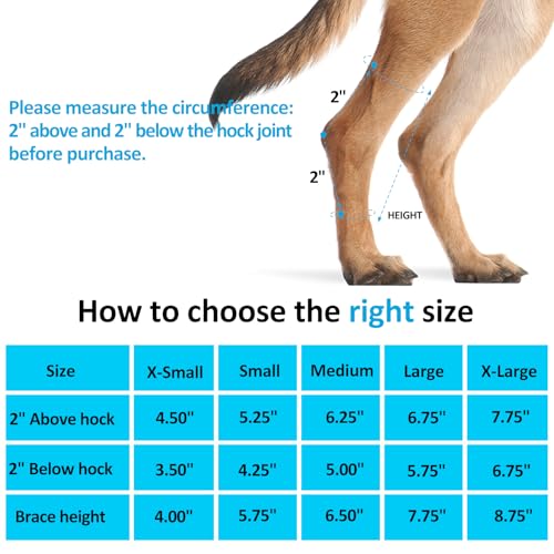 Dog Leg Braces for Back Legs,ACL Brace for Large Dogs Rear Legs, Joint Compression Warps Support for Hind Leg with Injury Sprain, Wound Care and Loss of Stability from Arthritis (1 Pair) - size: Large（1Pair）
