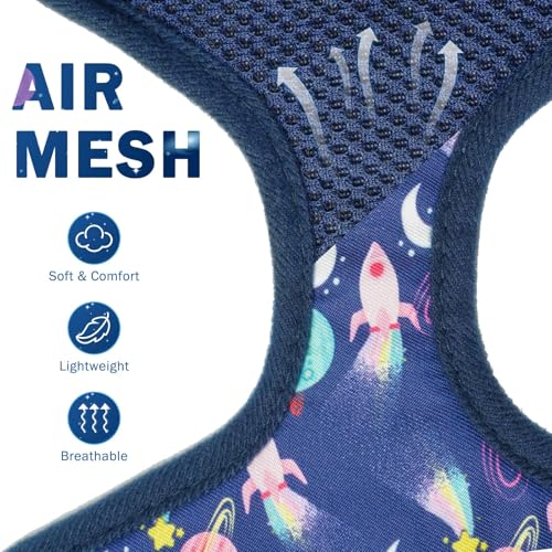 SCENEREAL Small Dog Harness and Leash Set, No Pull Puppy Harness - color: Navy-Starry Night, size: M: Chest Girth: 17"-21"