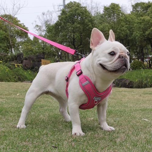 Dog Harness and Leash Set, Adjustable Triangle, Reflective Adjustable Puppy Vest, No Pull Soft Mesh Harness for Small, Medium Dogs, Cats (Fuchsia, L) - color: Fuchsia, size: L