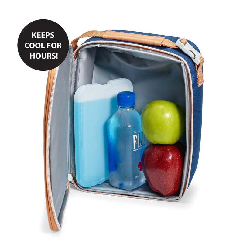 Cool Coolers by Fit & Fresh 4 Pack XL Slim Ice Packs, Quick Freeze Space Saving Reusable Ice Packs for Lunch Boxes or Coolers - color: Clear Blue (8 Pack)