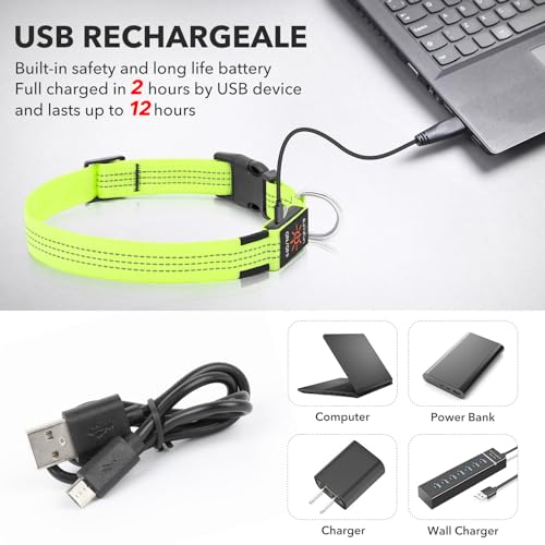Illumifun Light Up Dog Collar - USB Rechargeable LED Dog Collar, Adjustable Lighted Pet Safety Collar for Night Walking (GreenⅢ, Small) - color: GreenⅢ, size: Small
