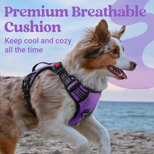 rabbitgoo Large Dog Harness, Easy Wear with 3 Buckles and Lift Handle - color: Purple, size: Small