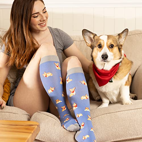 LEVSOX Compression Socks Women and Men, 20-30mmHg, Best for Nurses, Travel, Pregnancy - color: 6 Pairs Mix E, size: Large