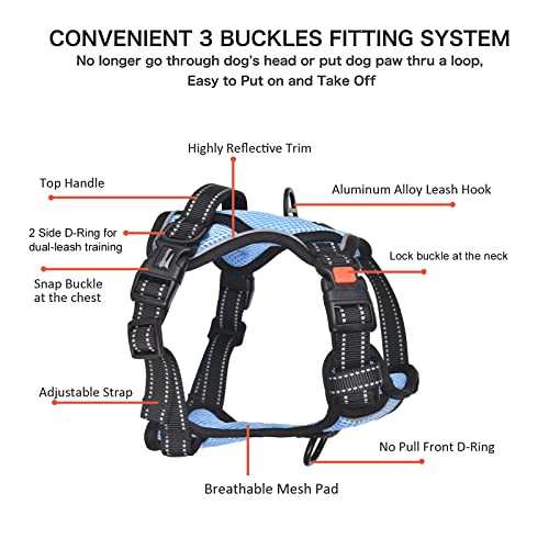 Petmolico No Pull Dog Harness and Leash Set with 4 Clips, Sky Blue, Medium - color: Sky Blue, size: Medium