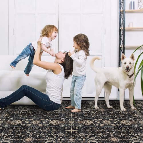 Ruaruarug Washable Area Rug 4×6 for Living Room, Ultra Soft, Black Grey - color: Dark Gray, size: 4' x 6' (Rectangular)