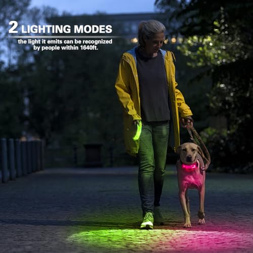 Dog Leash Light 2 Pack, LED Night Walking Safety Light for Collar Harness, Waterproof Glow Band with Nylon Stickers, Easy Clip-on Attachment for Small Large Dogs - color: Blue+Blue