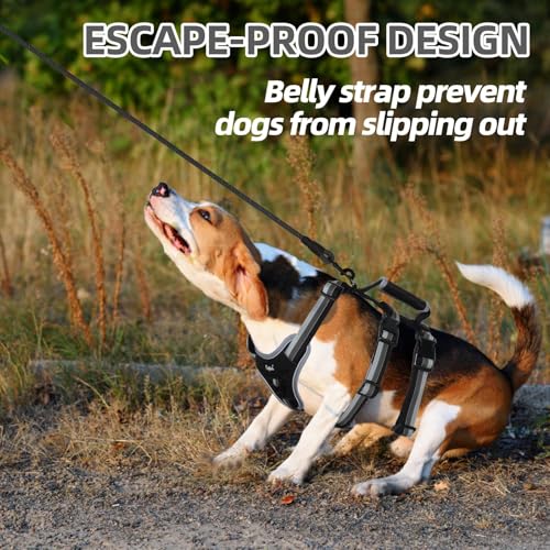 PUPTECK Escape Proof Dog Harness with Padded Handle, No Pull Pet Vest Harness Durable Reflective for Medium Large Dogs Walking Training and Running, Black, XL - color: Black, size: X-Large