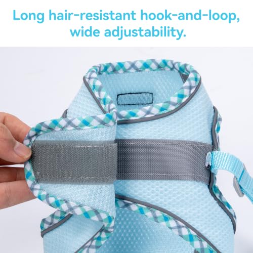 Petank Step in Dog Harness No Pull and Leash for Small Medium Dogs Cats. - color: Light Blue, size: XXXS