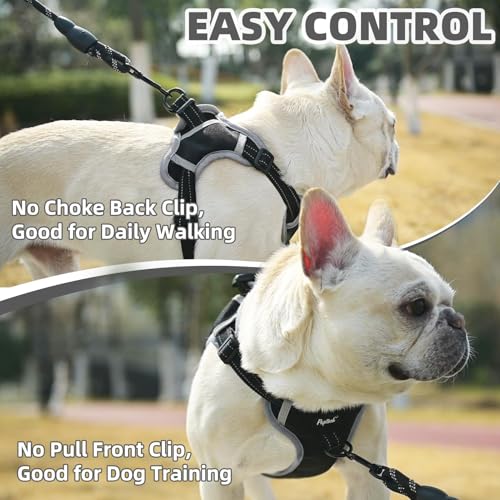 PUPTECK Dog Harness Small Sized Dog, Step in Adjustable Reflective Dog Vest Harness Escape Proof, No Pull Soft Padded Harness Easy Control, Black, XS - color: Black, size: XS (CHEST: 11.5"-16")