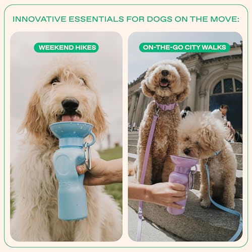 Springland Classic Portable Dog Water Bottle with Built-in Bowl, Sky Blue - color: Sky Blue, size: 22oz Classic