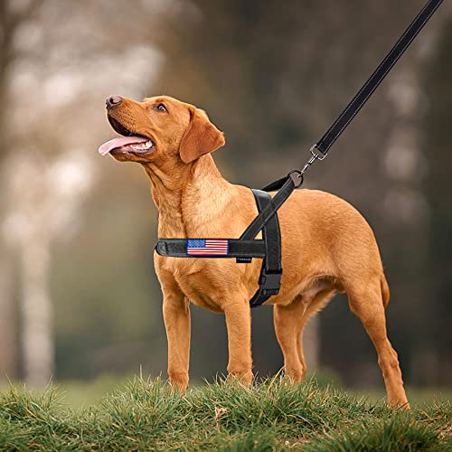 Annchwool No Pull Dog Harness with Padded Handle+5 Ft Leash(Black-Set,S) - color: Black Set, size: S