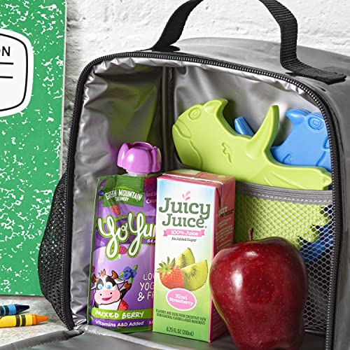 Cool Coolers by Fit & Fresh Reusable Kids Lunch Box Ice Packs, 4pk - color: Multicolor Dinosaur, size: 4 Pack