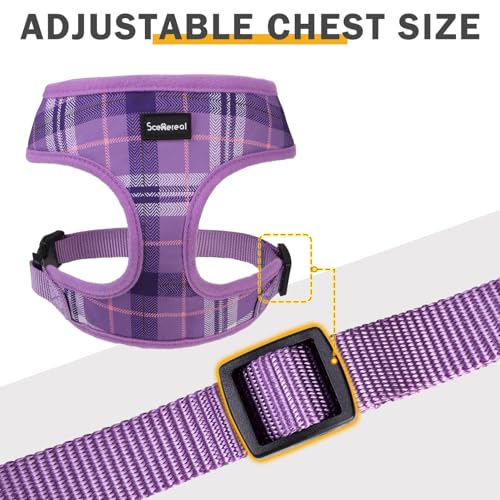 SCENEREAL No Pull Dog Harness and Leash Set Small Medium Sized Dog - color: Purple, size: XS: Chest Girth: 10"-14"