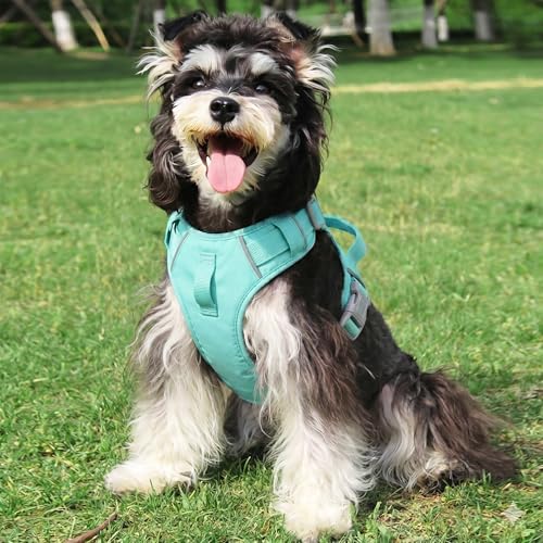 Mile High Life No Pull Dog Harness with Reflective Stripe, Adjustable Easy Get on Lightweight Harness for Small Medium Large Dogs Walking Running Training (Green, L Chest 21"-28") - color: Green, size: L Chest 21"-28"