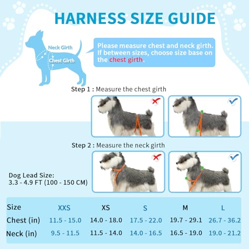 Lukovee Small Dog Harness and Leash Set, No Pull Soft Padded, 4ft Leash,XXS - color: Blue, size: XXS ( Chest 11.5'' ~ 15'')