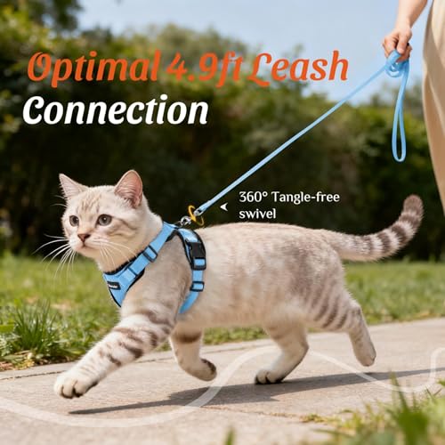 Dooradar Cat Harness and Leash Set, Adjustable and Escape Proof, M - color: Light Blue, size: M