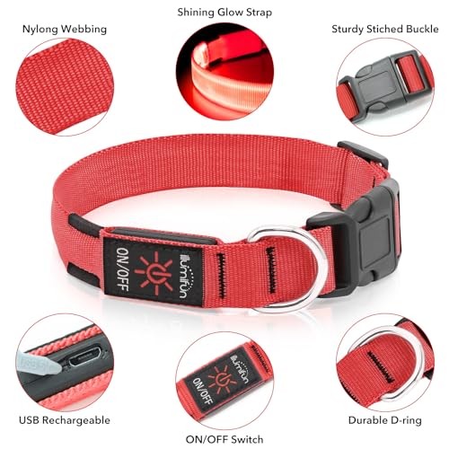 Illumifun LED Dog Collar - Adjustable Light Up Dog Collar - USB-C Rechargeable Pet Safety Light for Walking at Night (Red, Small) - color: Red, size: Small