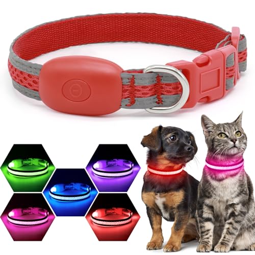 Flashseen LED Dog Collar, Light Up Dog Collar USB Rechargeable, Red, XS - color: Red, size: X-Small