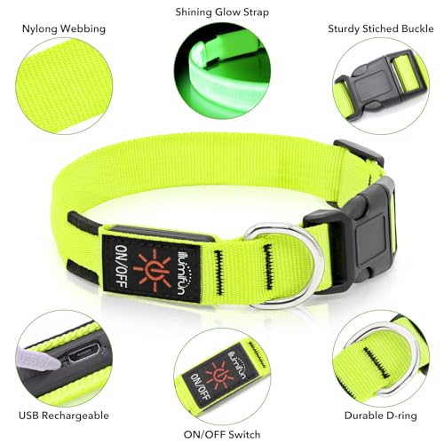 Illumifun LED Dog Collar, USB-C Rechargeable Light Up Collar Glow in Dark, Adjustable Pet Safety Lights for Night Walking Camping (Green, Large) - color: Green, size: Large