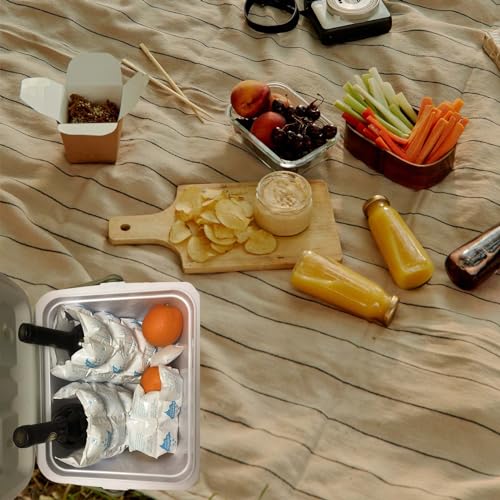 Dry Ice Pack for Shipping Frozen Food, Reusable Ice Packs for Coolers Long Lasting, Flexible Cold Packs Sheets for Lunch Box (5 Large Sheets) - color: 5 Large Sheets - 120 Packs