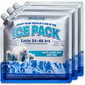 Cooler Ice Packs Reusable Ice Packs for Coolers Long Lasting Freezer Packs for Cooler Bag, Lunch Bags, Cooler Backpacks - color: 3 Pack - All Purpose Ice Packs