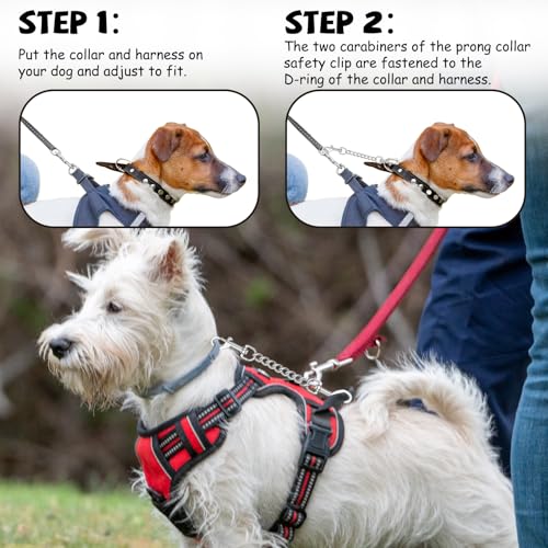 YUEPET 2 Pack 8.3 in Dog Collar Safety Clips, Stainless Steel Backup Clip - color: Stainless Steel*2
