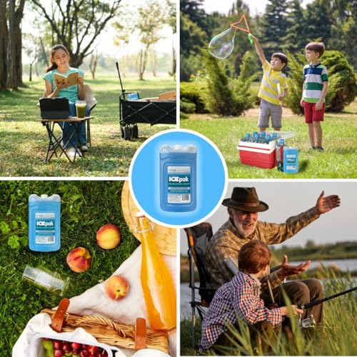 Cryopak ICEpak Hard Shell Reusable Ice Packs for Coolers and Lunch Box Use, Freezer Safe Gel Design, Professional Grade Cooling, Non-Toxic and BPA Free, Essential Travel Accessories - size: Small (3 Pack)