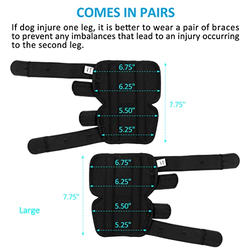 Dog Leg Braces for Back Legs,ACL Brace for Large Dogs Rear Legs, Joint Compression Warps Support for Hind Leg with Injury Sprain, Wound Care and Loss of Stability from Arthritis (1 Pair) - size: Large（1Pair）