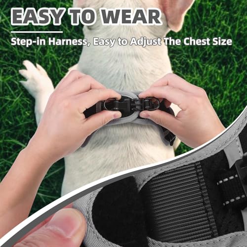 PUPTECK Dog Harness Small Sized Dog, Step in Adjustable Reflective Dog Vest Harness Escape Proof, No Pull Soft Padded Harness Easy Control, Black, M - color: Black, size: M (CHEST: 14.5"-20")