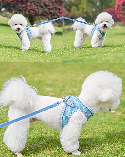 Petank Step in Dog Harness No Pull and Leash for Small Medium Dogs Cats. - color: Bule, size: XXS