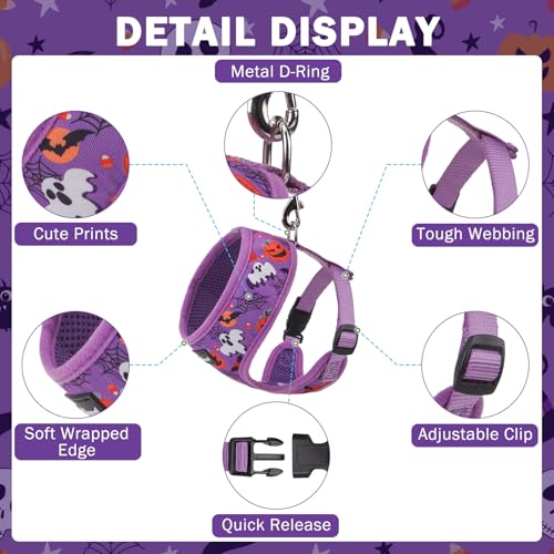SCENEREAL Halloween Small Dog Harness and Leash Set - color: Purple-Halloween, size: XS: Chest Girth: 10"-14"