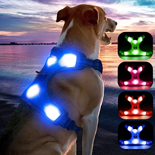 YFbrite Light Up Dog Harness - USB Rechargeable LED, Reflective, Comfortable Adjustable With Different Sizes (Blue, Small)