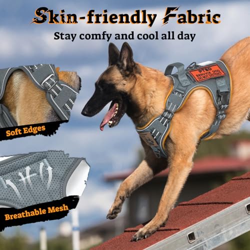 rabbitgoo Tactical Dog Harness Medium Sized, No Pull Service Pet Vest - color: Grey, size: M(chest:20.1"-33.9",neck:17.7"-22.3",back:7.5")