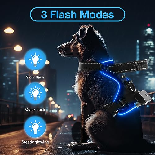 MASBRILL Light Up Dog Harness - No Pull LED Dog Harness Rechargeable, Glow Vest for Night Walking, Fits Small Medium & Large Dogs - color: Black-Blue, size: L