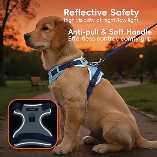 Dog Harness and Leash Set with Collar, No Pull Reflective Pet Vest Harness with Control Handle for Medium Large Dogs Walking and Training - color: Blue, size: L(Neck:22.0-29.1",Chest:26.8-34.6")