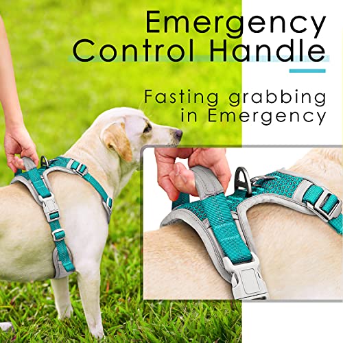 ThinkPet No Pull Harness for Small Medium Large Dogs, Reflective Padded Vest with Handle, Adjustable Star Style - color: Bright Teal, size: XL(Chest:24"-33")