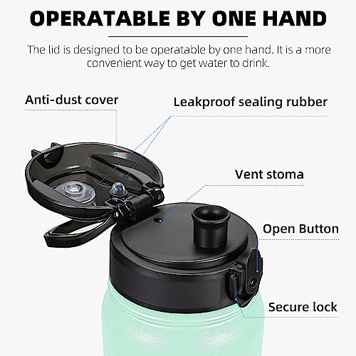 Fanhaw 32oz Stainless Steel Water Bottle with Chug Lid, Green Pink - color: Green Pink, style: 32 Ounces