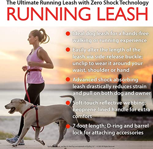 EzyDog Road Running Hands Free Dog Leash, Zero Shock Bungee - Purple - color: Purple, size: Standard