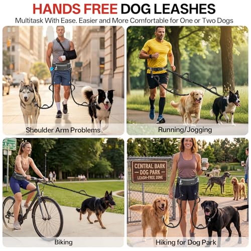 Hands Free Double Dog Leash for Two Dogs 240LB Heavy Duty Bungee