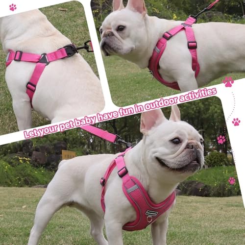 Dog Harness and Leash Set, Adjustable Triangle, Reflective Adjustable Puppy Vest, No Pull Soft Mesh Harness for Small, Medium Dogs, Cats (Fuchsia, M) - color: Fuchsia, size: M