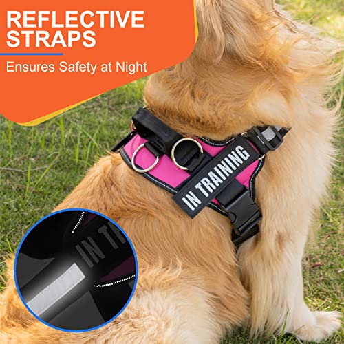 Essential Dog Harness, No Pull Pet Harness with 3 Side Rings for Leash Placement, No Choke, Reflective, Adjustable Pet Vest, Easy On-Off & Improved Control Handle, Training, Walking, Running - size: M(Neck:18-26",Chest:21-25")